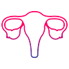 A reproductive system graphic.